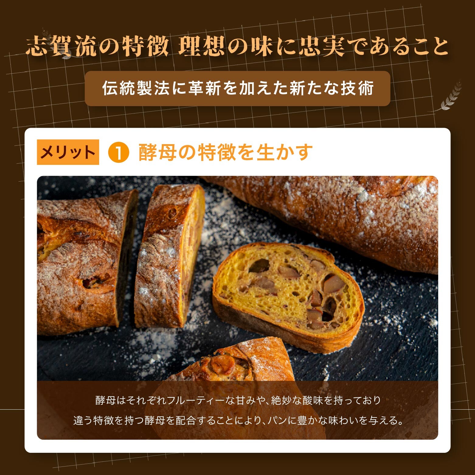 日本の酵母の達人 志賀勝栄｜発酵種の作り方から焼き上が