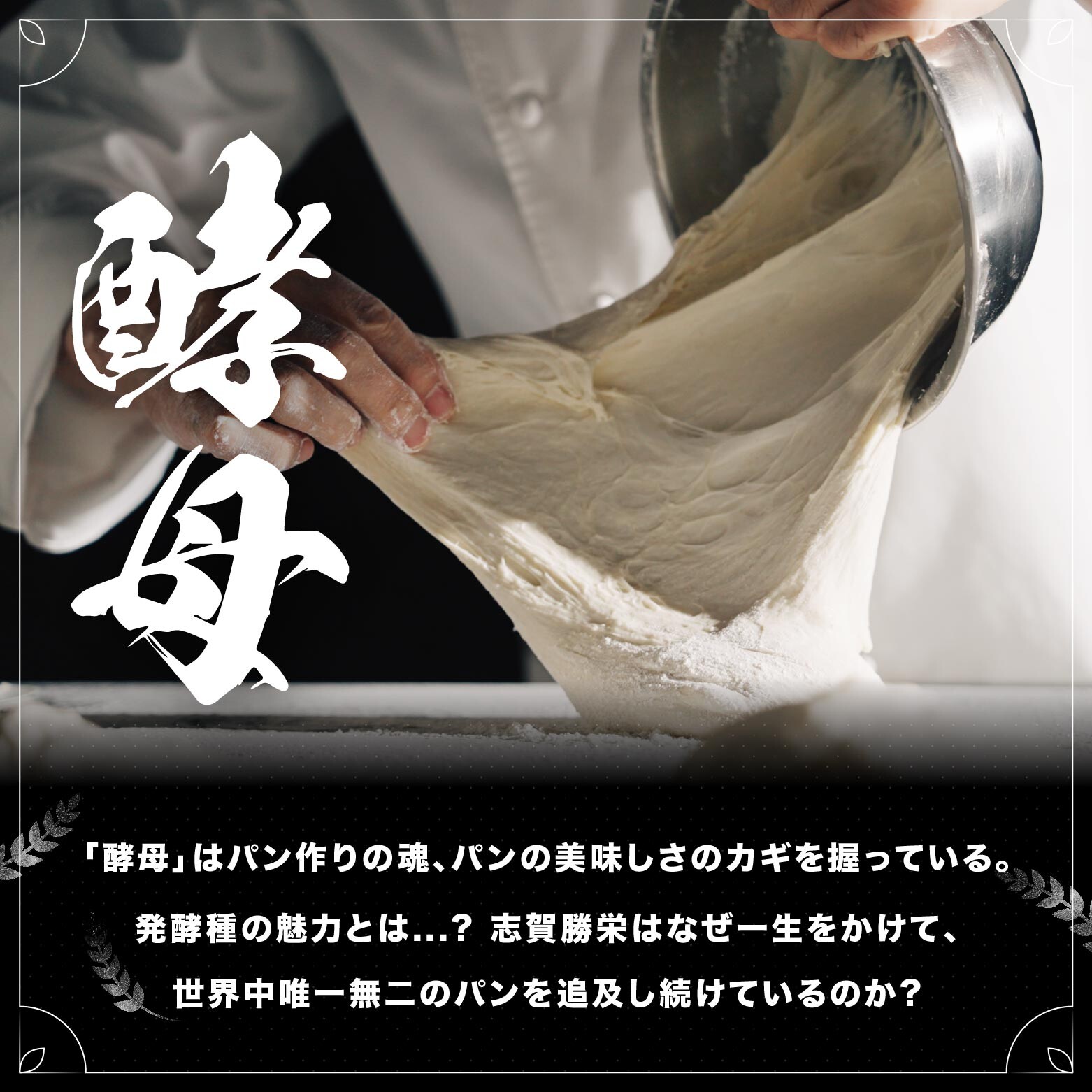 SD-SB1＋本機向け志賀勝栄レシピ付き (Panasonicホームベーカリー) SD-SB1＋本機向け志賀勝栄レシピ付き (Panasonicホームベーカリー) SD