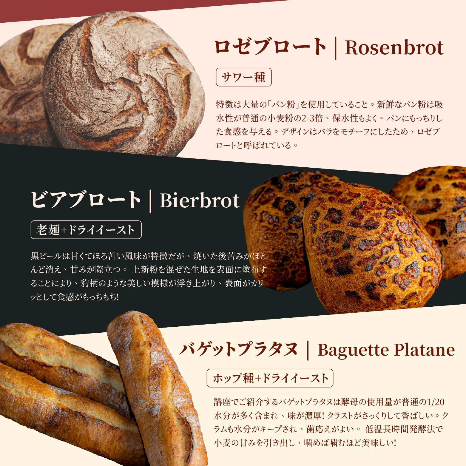 日本の酵母の達人 志賀勝栄｜発酵種の作り方から焼き上が