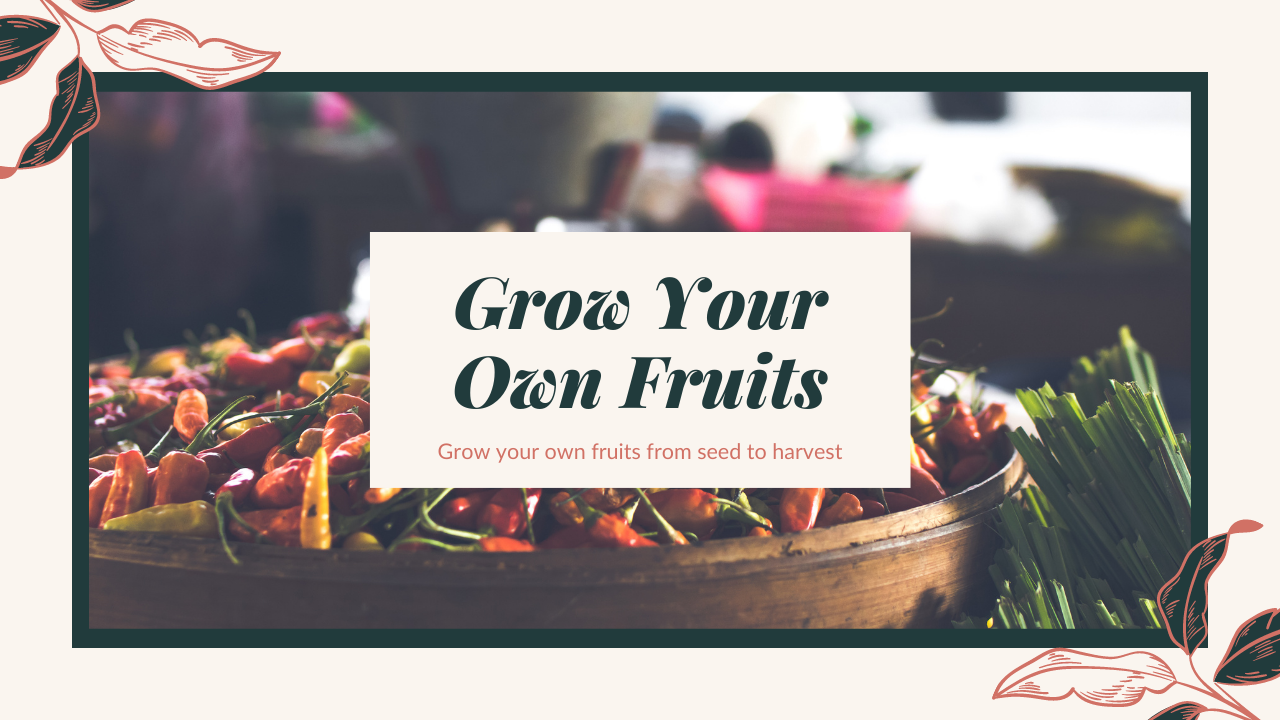 交易一直賠錢、賠到不知該怎麼辦，要如何調適心情- PressPlay