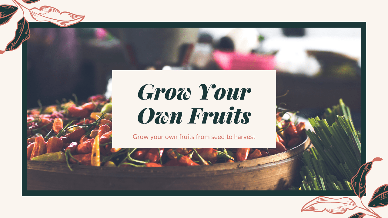 交易一直賠錢、賠到不知該怎麼辦，要如何調適心情- PressPlay