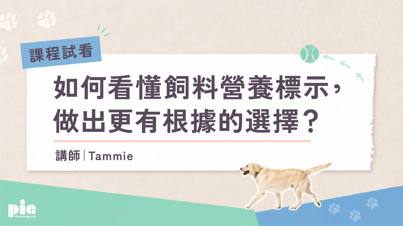 戴更基醫師＆Tammie醫師- 生活品味領域創作者- PressPlay